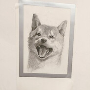 菠萝卤肉盖浇饭与桃花