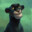Bagheera