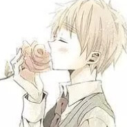 太阳俯视向日葵