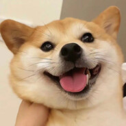 枫