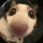 qwe