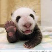 ReKlEsS_Panda