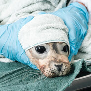 ♡ women respecter ♡