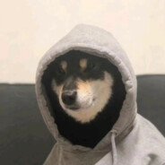 一脚踢飞老逼登