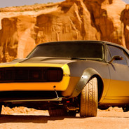 Bumblebee