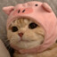 oink