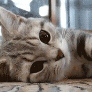 Dizoksi - steam id 76561199085471510