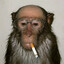 .druuuugs's avatar