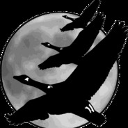 Goose - steam id 76561197961372441