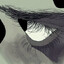 MonAmi