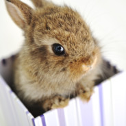 I need anger management