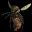 bloatfly