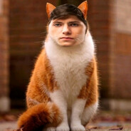 Ради неё котик