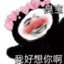 麻吉烧饼