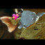 Pretty_Fish_Lady