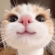 WashMeplz