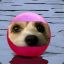 Pink Puppy Ball!