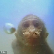 Water Monkey