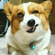 依稀当年萝卜干