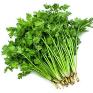 叔叔!丁真拿王源的华子