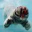 tigre's avatar