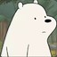 Ice Bear