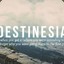 Destinesia