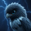 Hawk