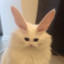 Lucifer