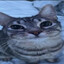H1