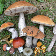 Frostasツ - steam id 76561199476986703