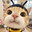 Step Bee