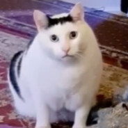 香辣石灰烤面筋