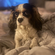 Uzytkownik niedostepny