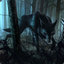 shadowslug
