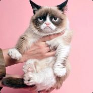 Среди животных