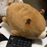 KU-MOUSE