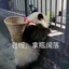 雪影无痕