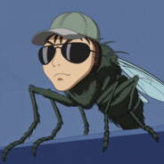 Fly