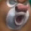 974619892