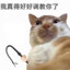 我真得好好调教你了