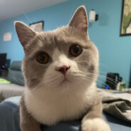 Big Avatar