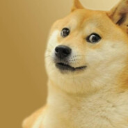 supervaizer - steam id 76561199220193646