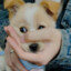 心♥