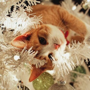 𝒟𝑒𝓃𝒾𝓈𝓀𝒶