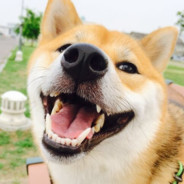 ◕︎ ‿︎ ◕