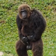 888rrr08 - steam id 76561199810132214