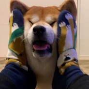 套鸭军师