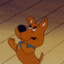 Scrapy Dù