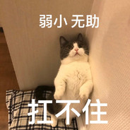 上天入地无所不能的阿金